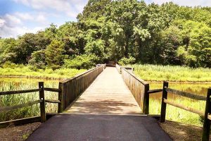 Parks On Kent Island Maryland